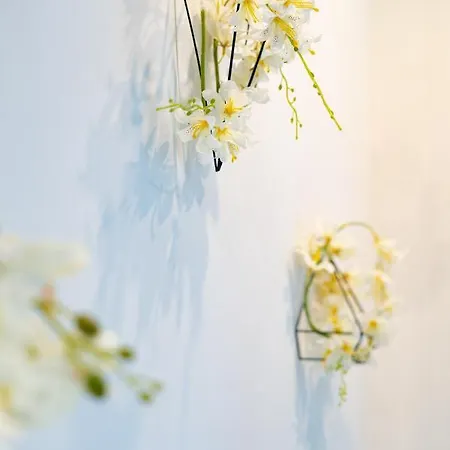 Capsule Color Deluxe Balneo I Ecran Cinema I Console De Jeux Appartement Trith-Saint-Leger