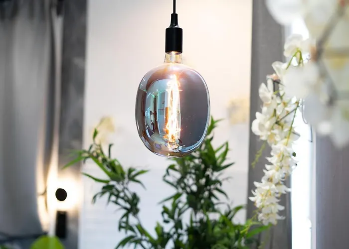 Capsule Color Deluxe Balnéo I écran Cinéma I Console De Jeux Appartement